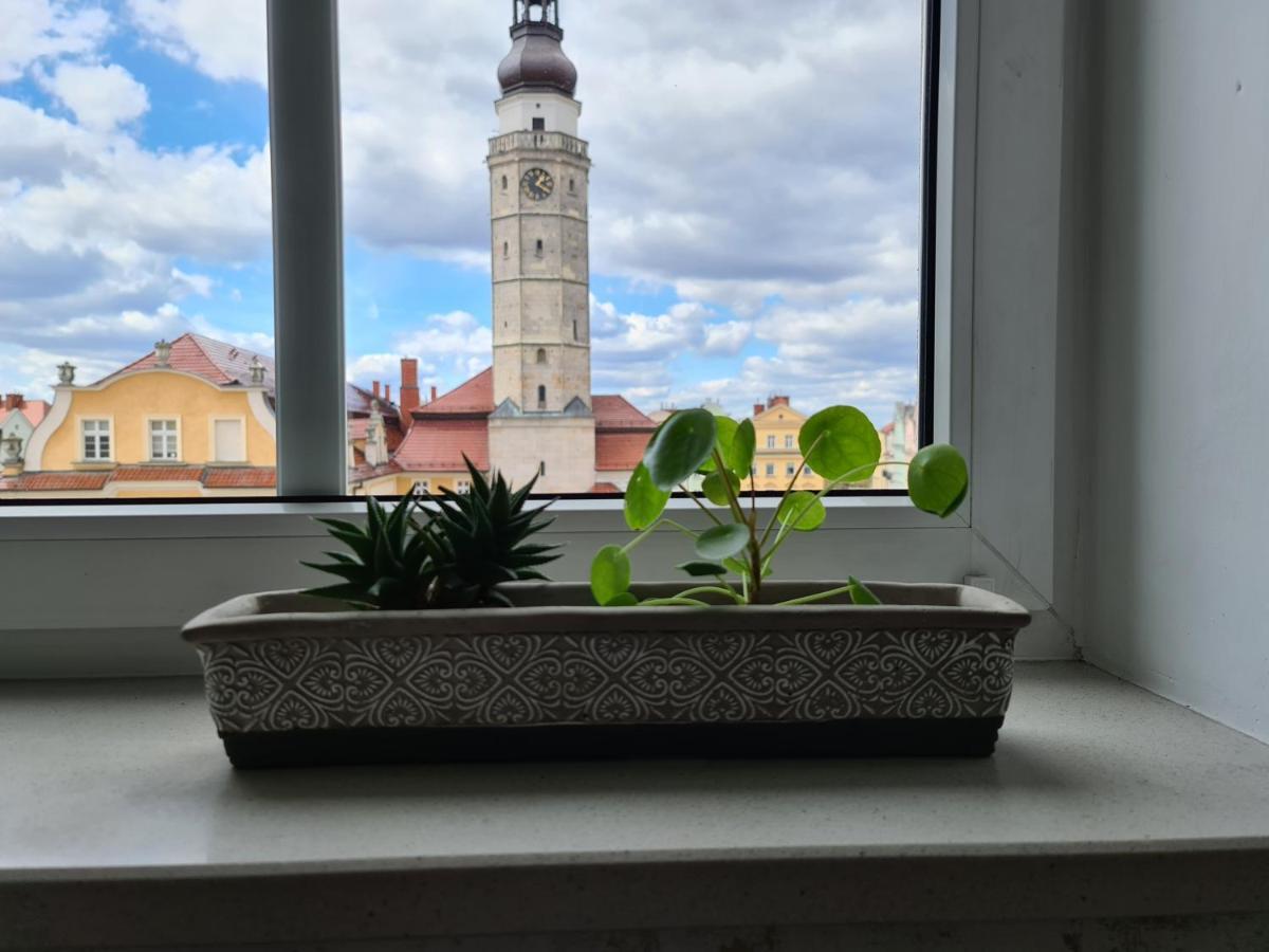 Apartament W Rynku For You Boleslawiec  Buitenkant foto